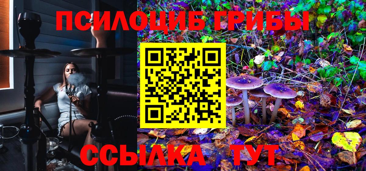Галлюциногенные грибы Psilocybe  Вход с VPN  Шебекино 