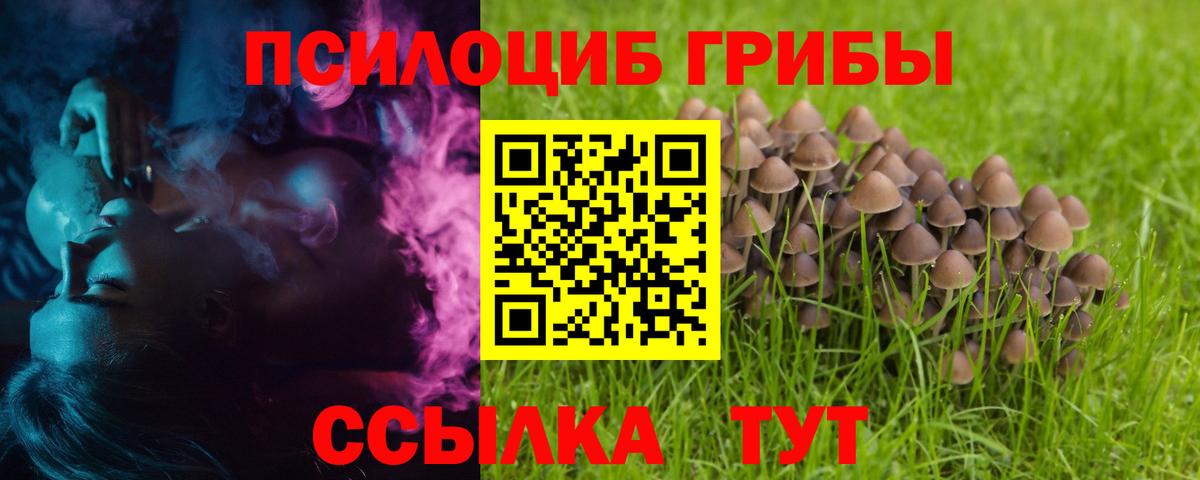 Галлюциногенные грибы Psilocybine cubensis Шебекино